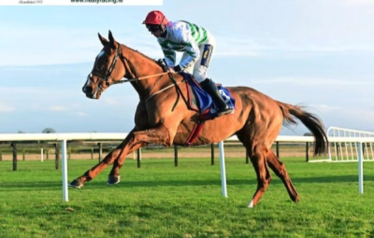 LOOKING FOR p2p horse/race horse