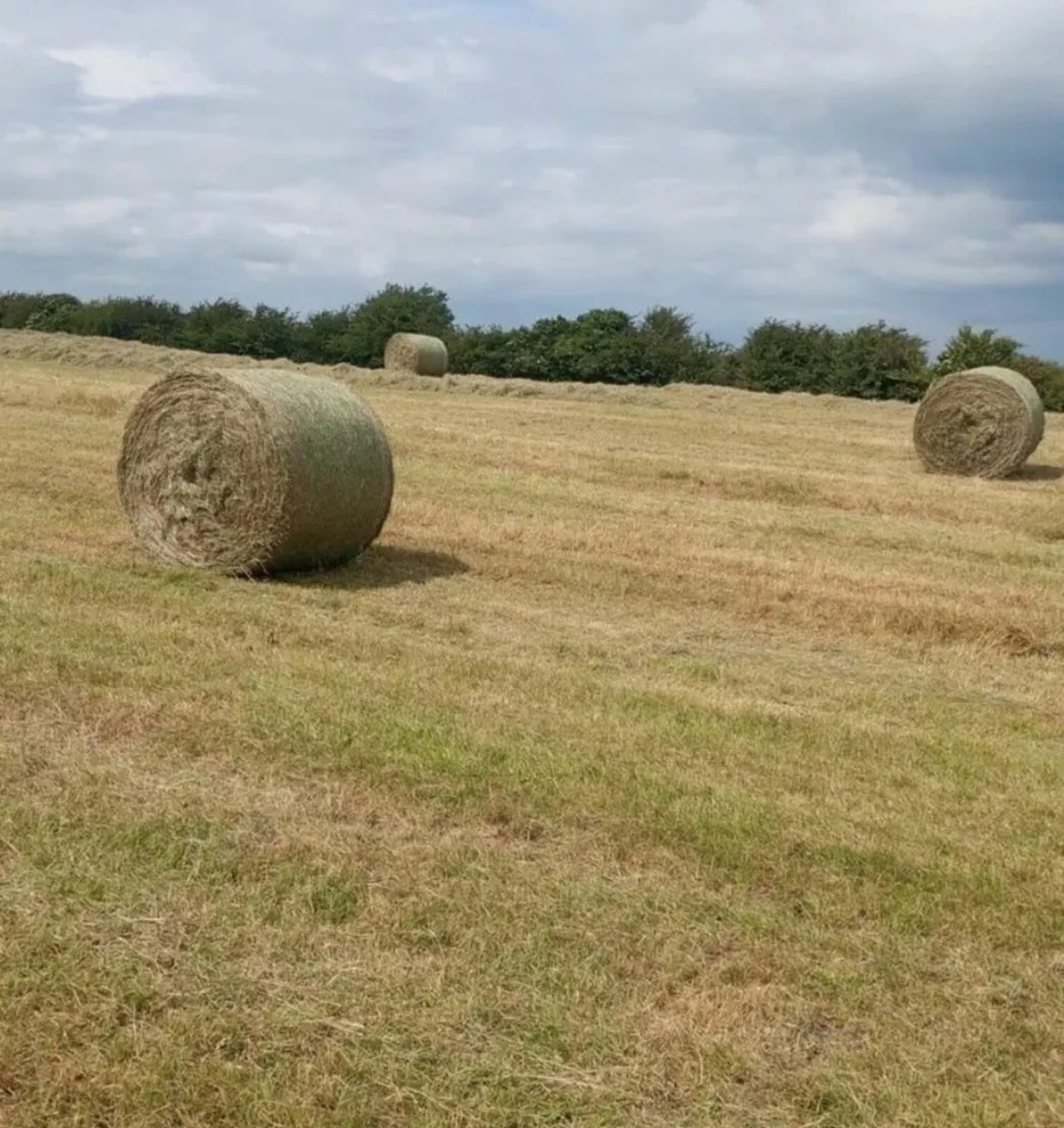 Hay bales for sale - Image 2
