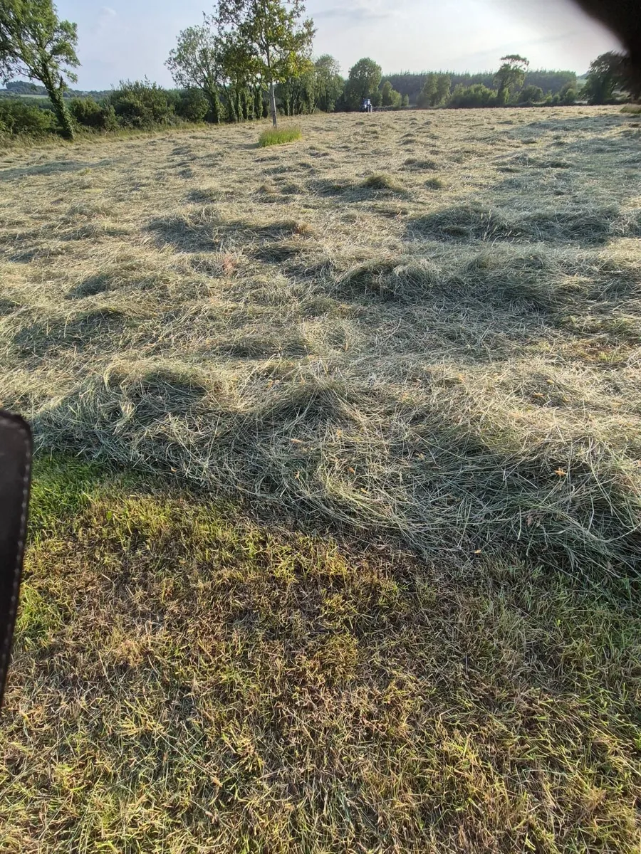 Hay for sale - Image 1