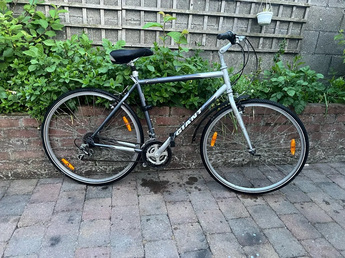 Bicycle - Image 2