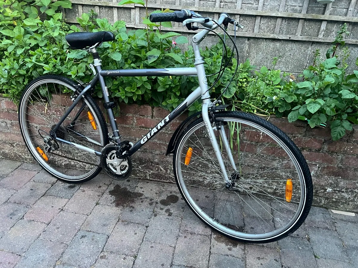 Bicycle - Image 4