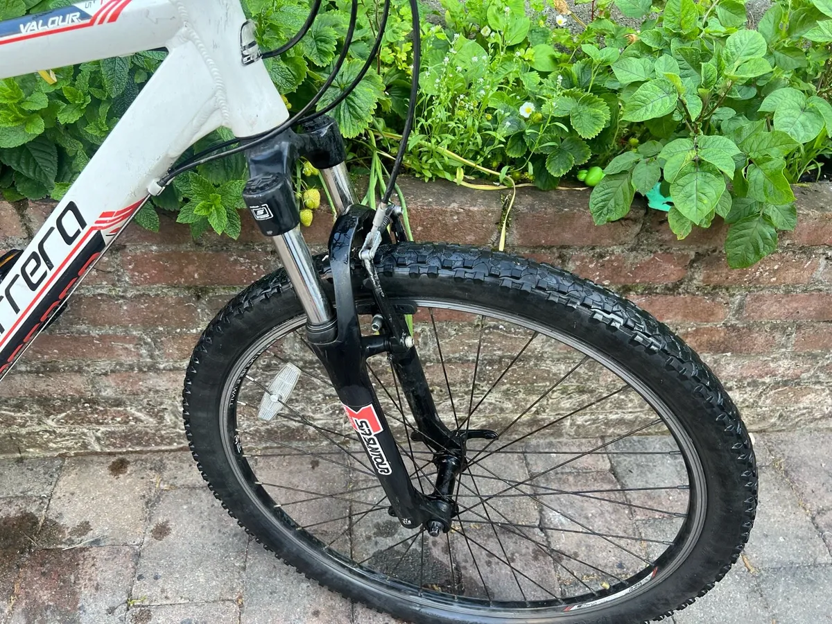 Bicycle - Image 2