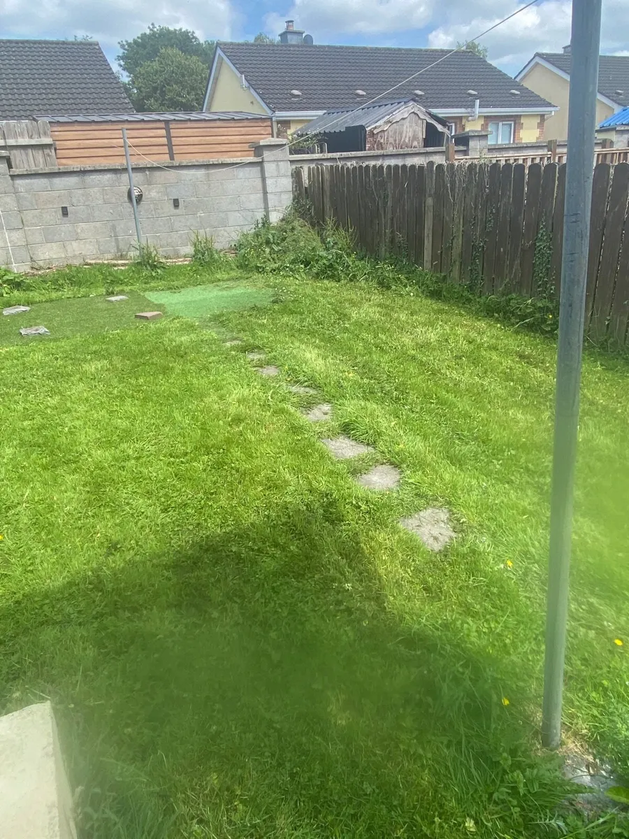 Anyone wants there grass cut in Longford inbox me