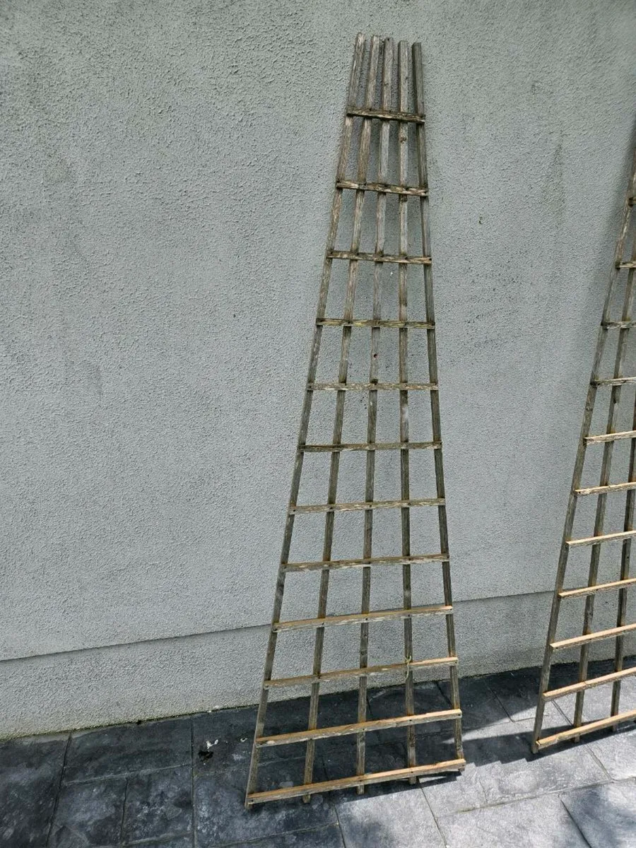 2 X Wooden Garden Trellis - Image 2