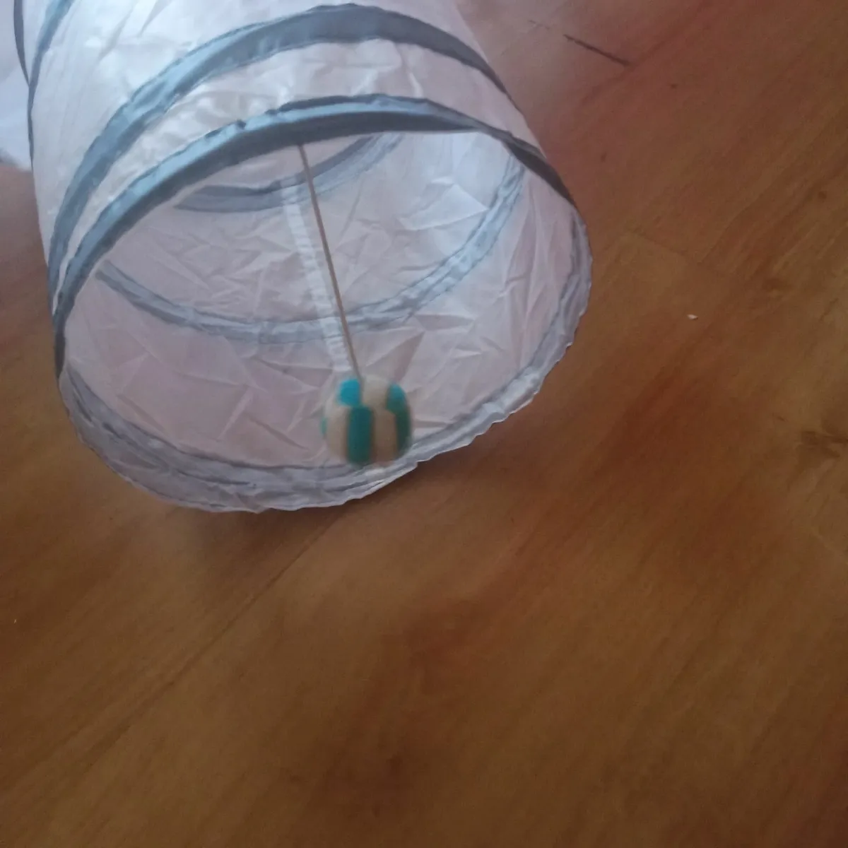 Cat Tunnel - Image 2