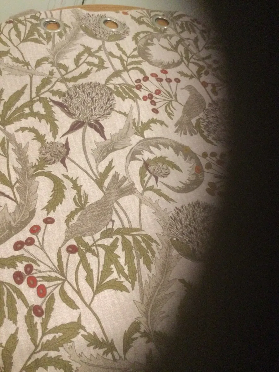 Curtains - Image 4
