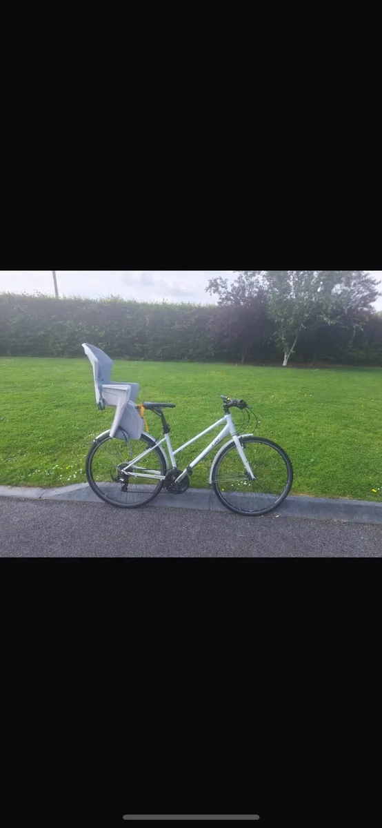 Adult bike/ bike trailer/trike - Image 1