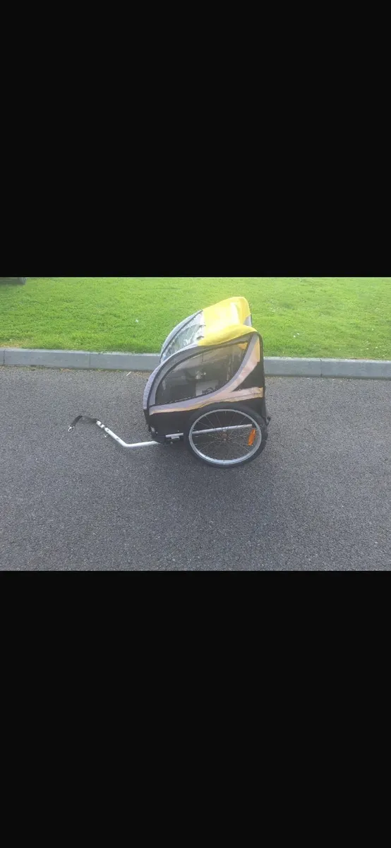 Adult bike/ bike trailer/trike - Image 2