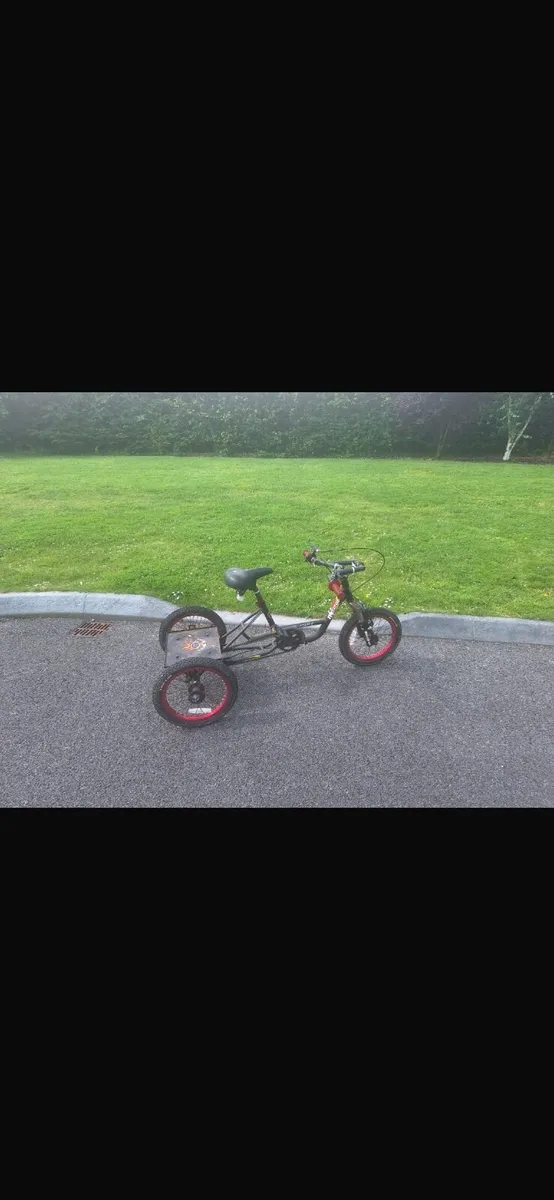 Adult bike/ bike trailer/trike - Image 3