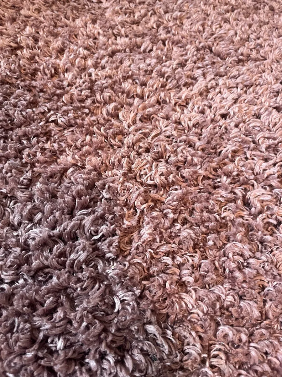 Rug and Canvas Print - Image 2