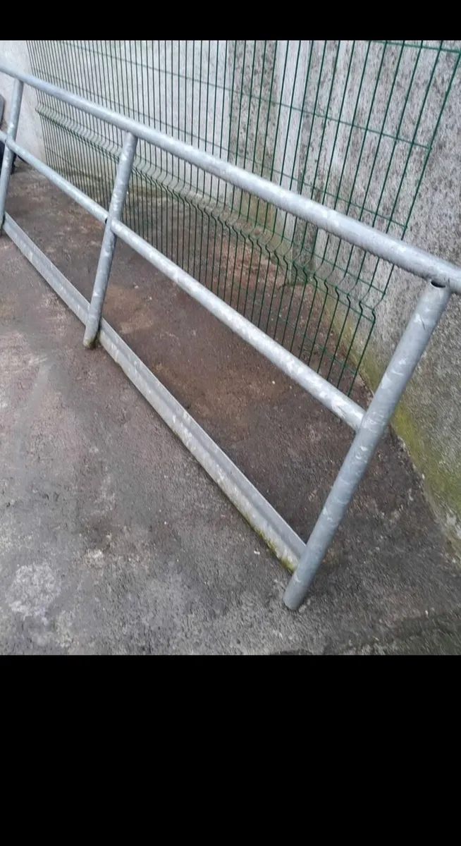 Disabled  railings - Image 1