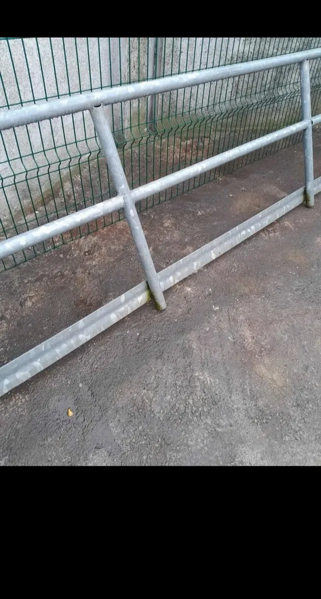 Disabled  railings - Image 2