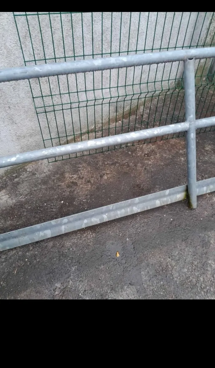 Disabled  railings - Image 4