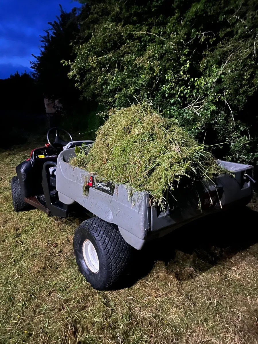2007 Toro gator mule 2000 hours - Image 2