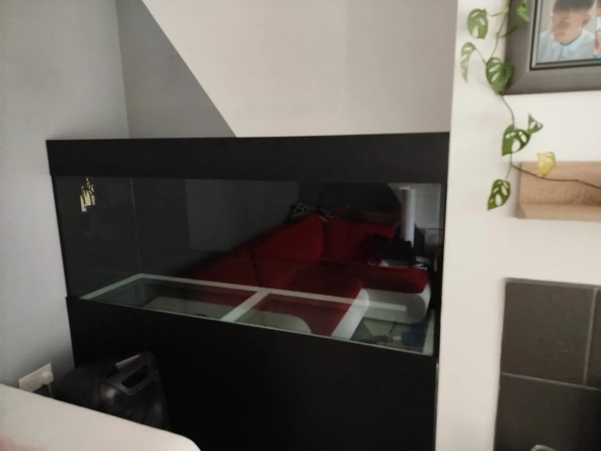 Fish tank - Image 4
