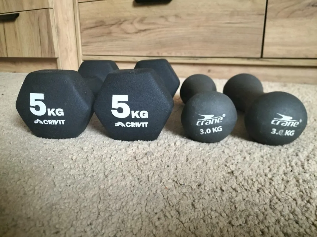 Weights - Image 1