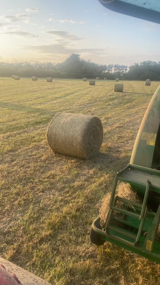Hay - Image 2