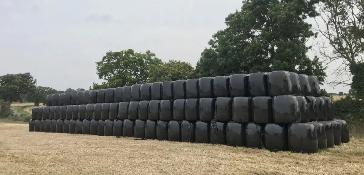 Baled Silage 320 bales excellent quality - Image 1