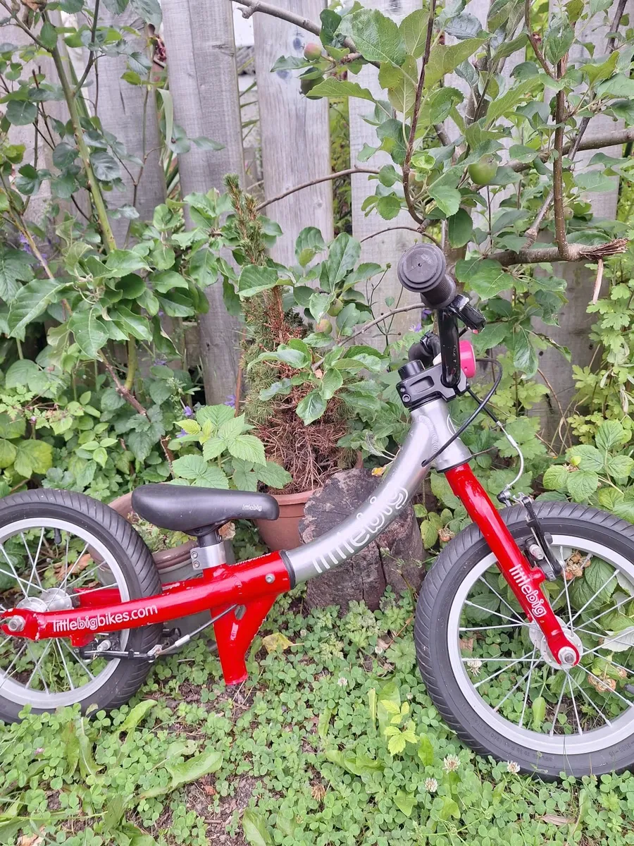 Bicycle - Image 1