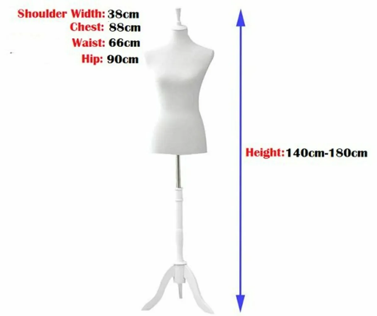 2 x New Womens Tailors Bust Dummy - FREE Delivery - Image 2
