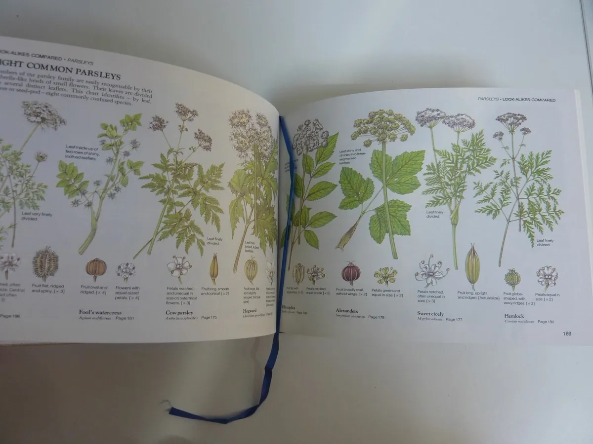 Field guide to wild flowers of Britain (book) - Image 2