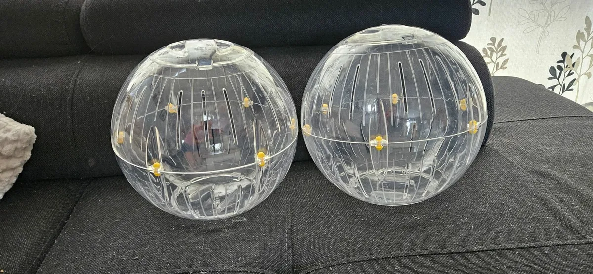 Two large 23cm walking ball for small animals. - Image 1