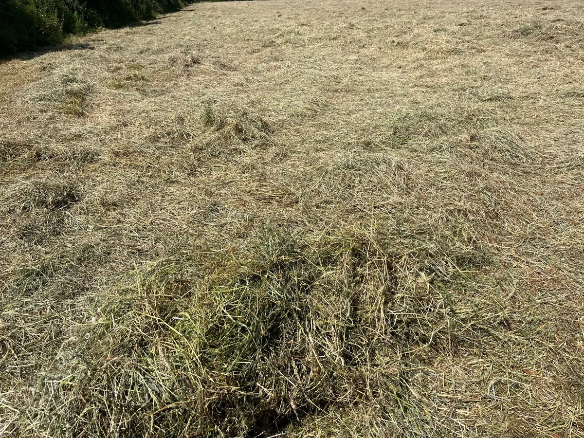 Hay for sale (Youghal). - Image 2