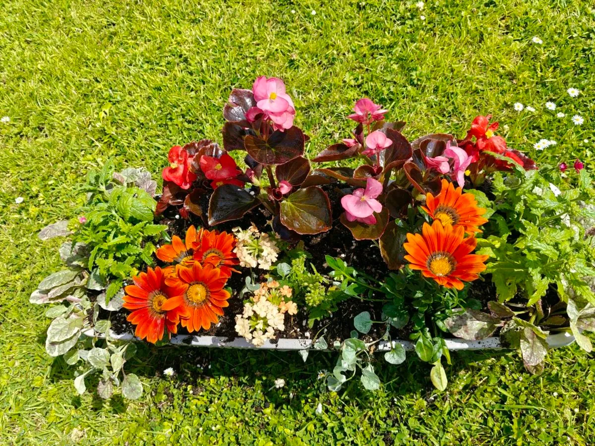Window box