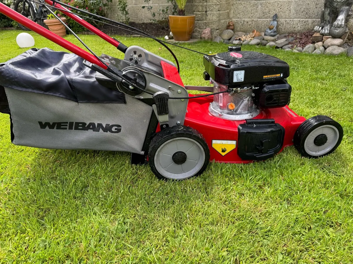 Lawnmower - Image 3