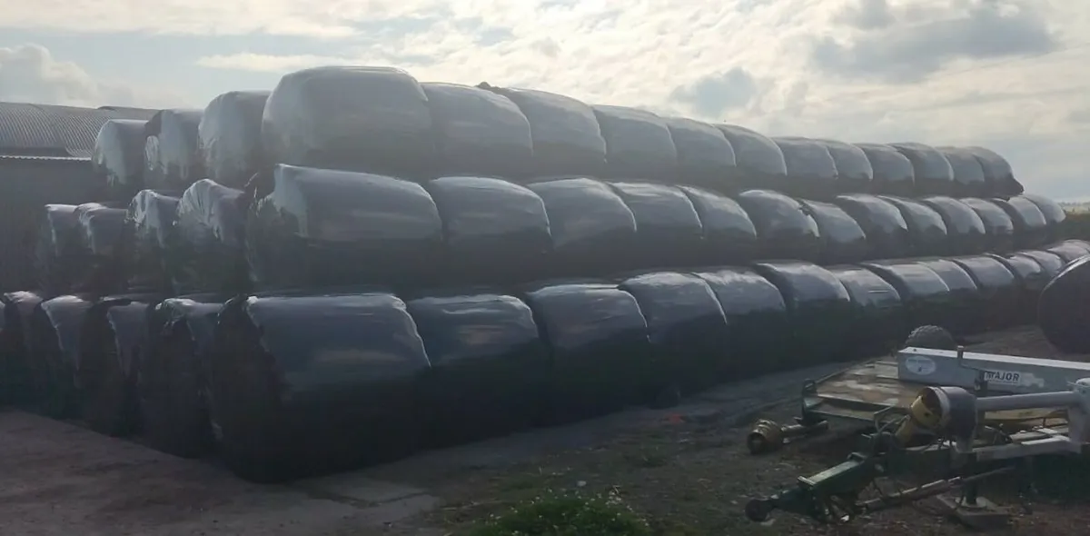 2025 round bale silage