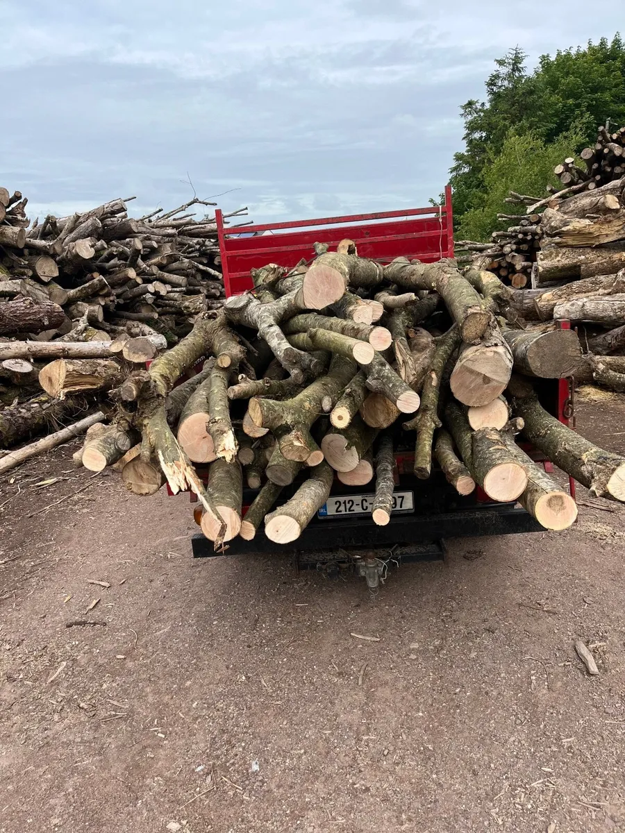 Firewood - Image 2