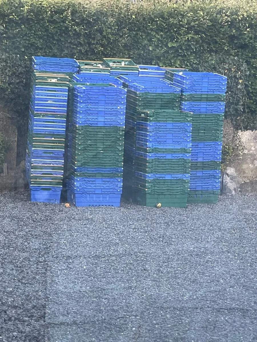 Storage crates