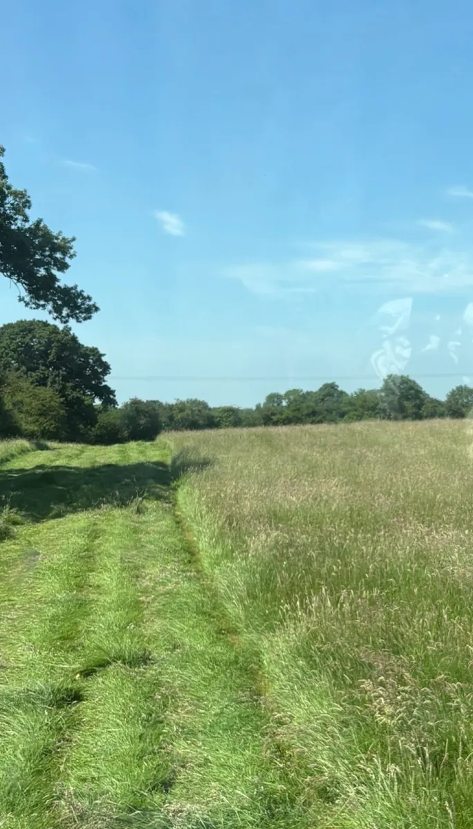 Haylage and Hay