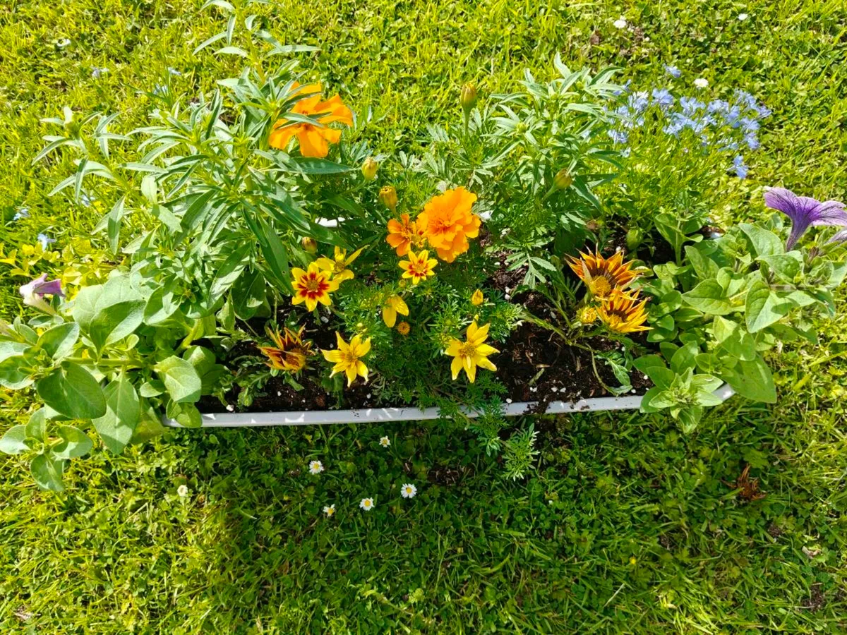 Window box - Image 1