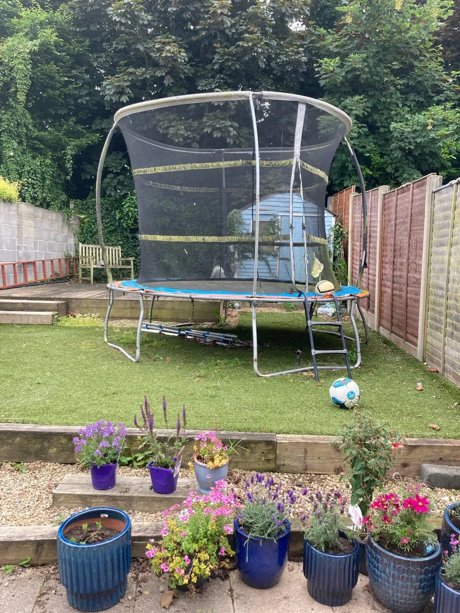 Trampoline