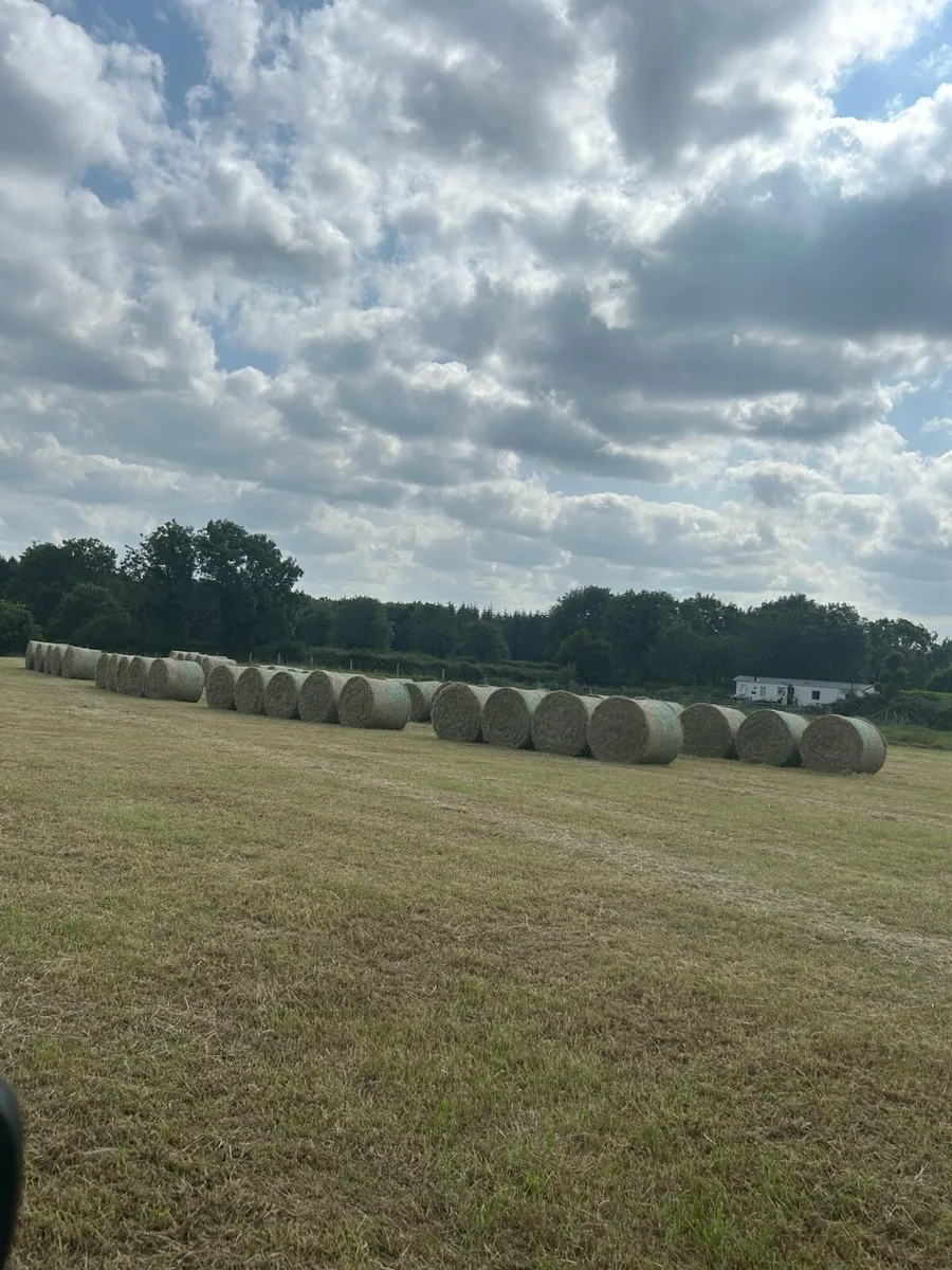 Hay for sale - Image 1
