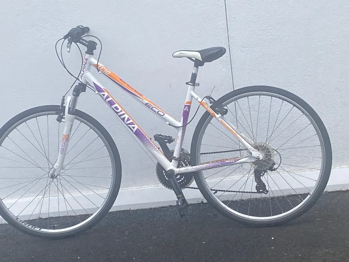 Alpina Eco Bicycle
