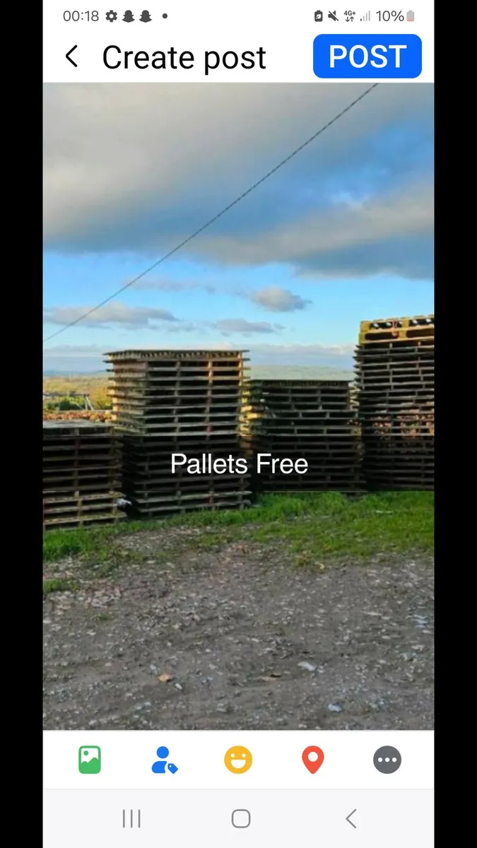 20 strong big Pallets to clear