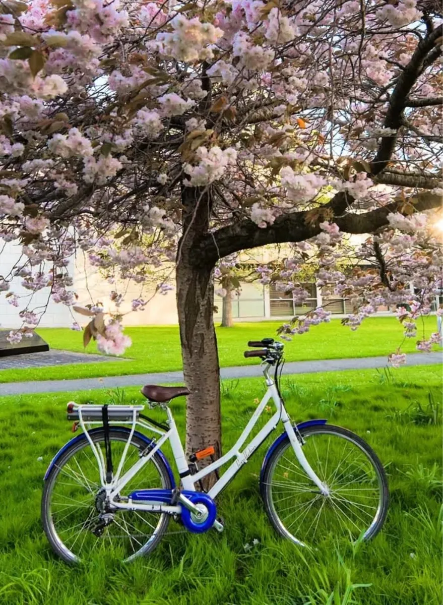 Pendleton hybrid e-bike