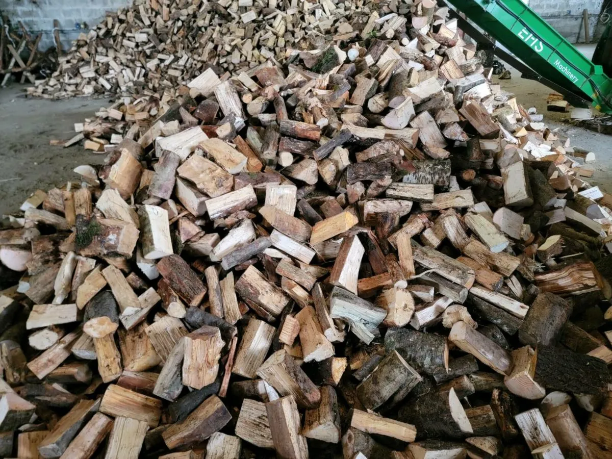 Hardwood firewood - Image 2
