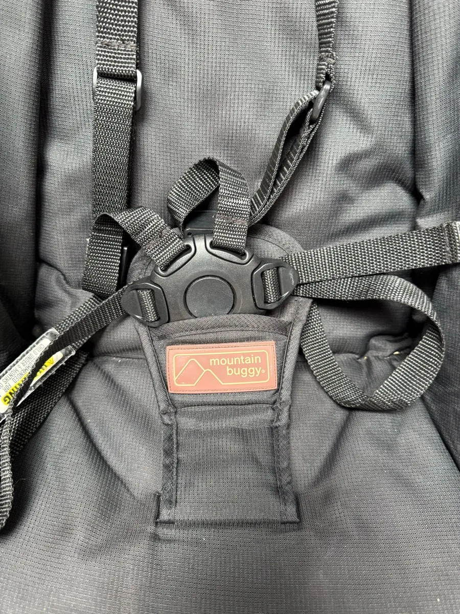 Nano Duo Buggy - Image 4