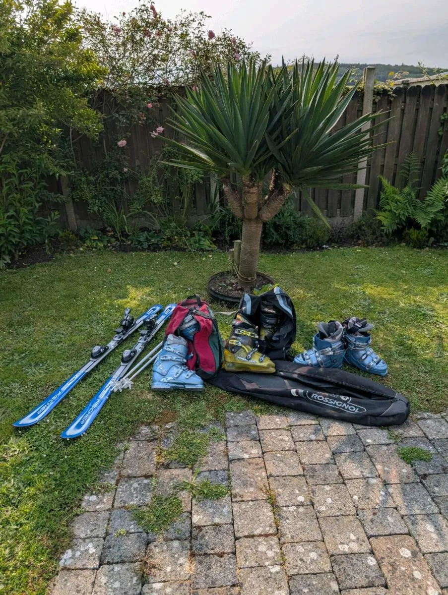 Ski bundle need gone today - Image 1