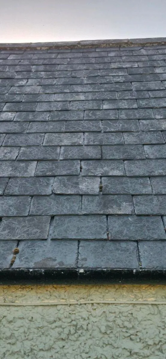 Roof Slates - Image 1