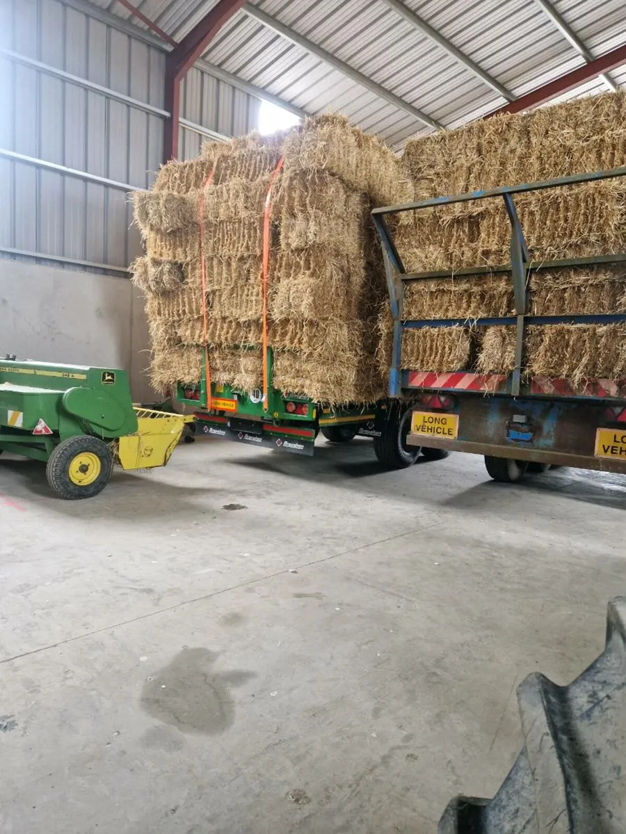 Square bales of hay - Image 1