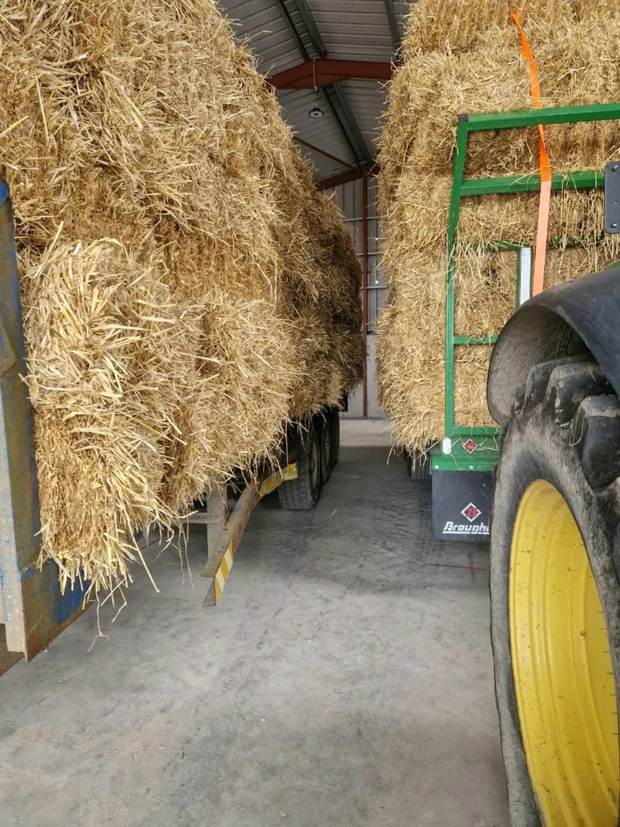 Square bales of hay - Image 2