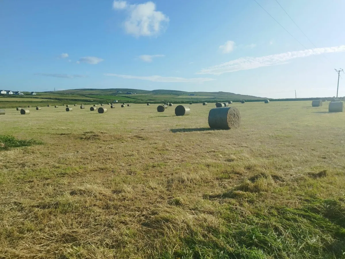 Top Quality Round Bales of Hay x 100 - Image 3