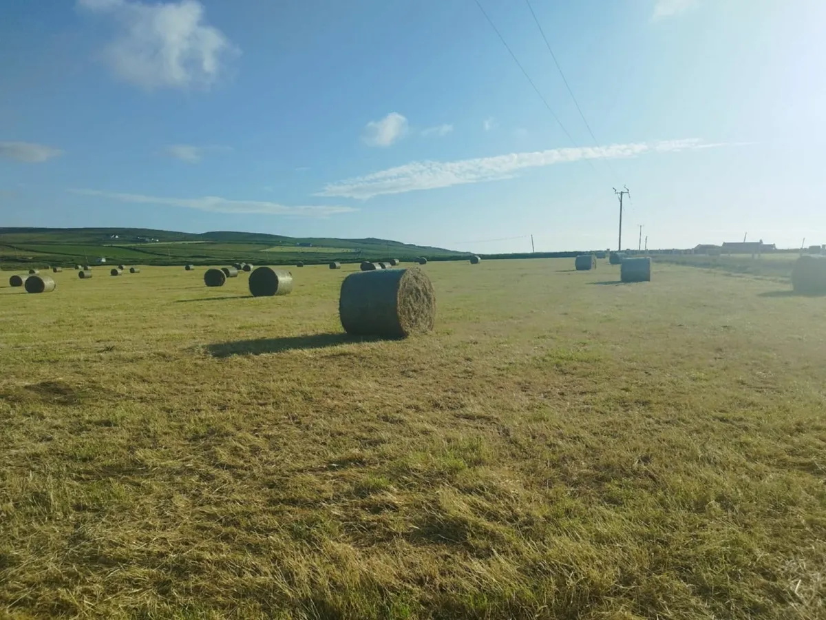 Top Quality Round Bales of Hay x 100 - Image 4