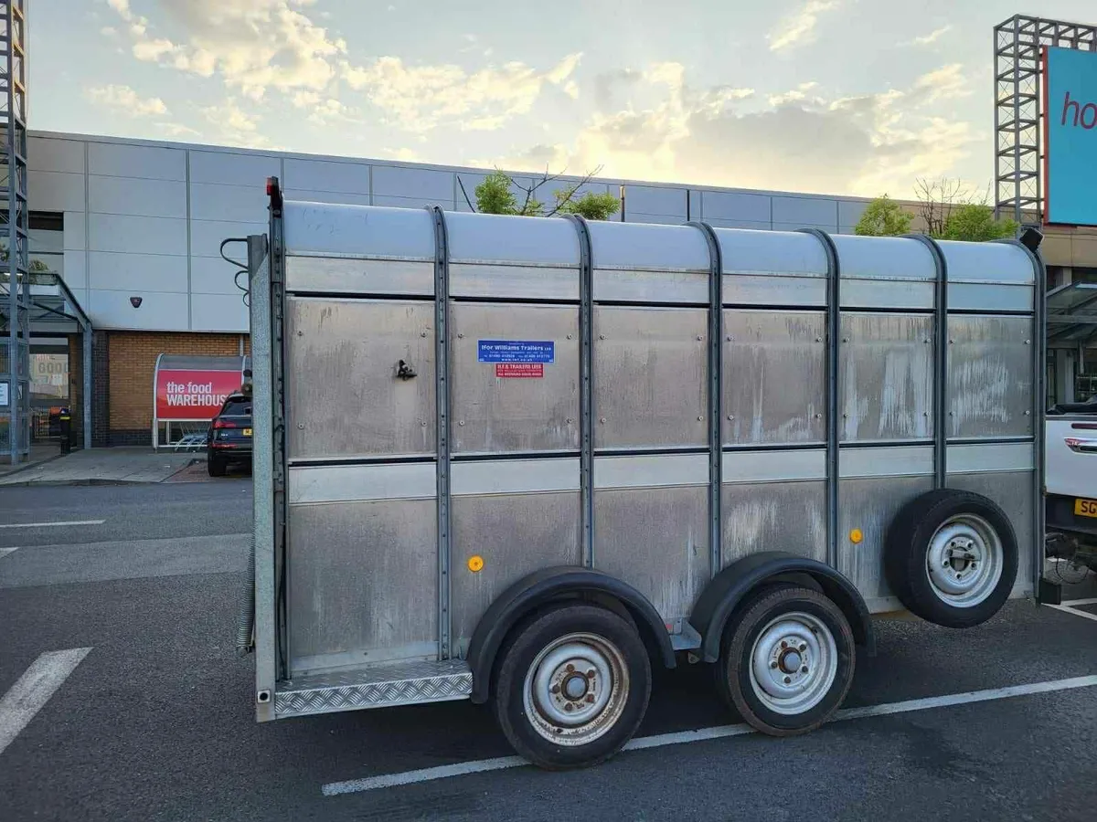 IFOR WILLIAMS CATTLE TRAILER - Image 2