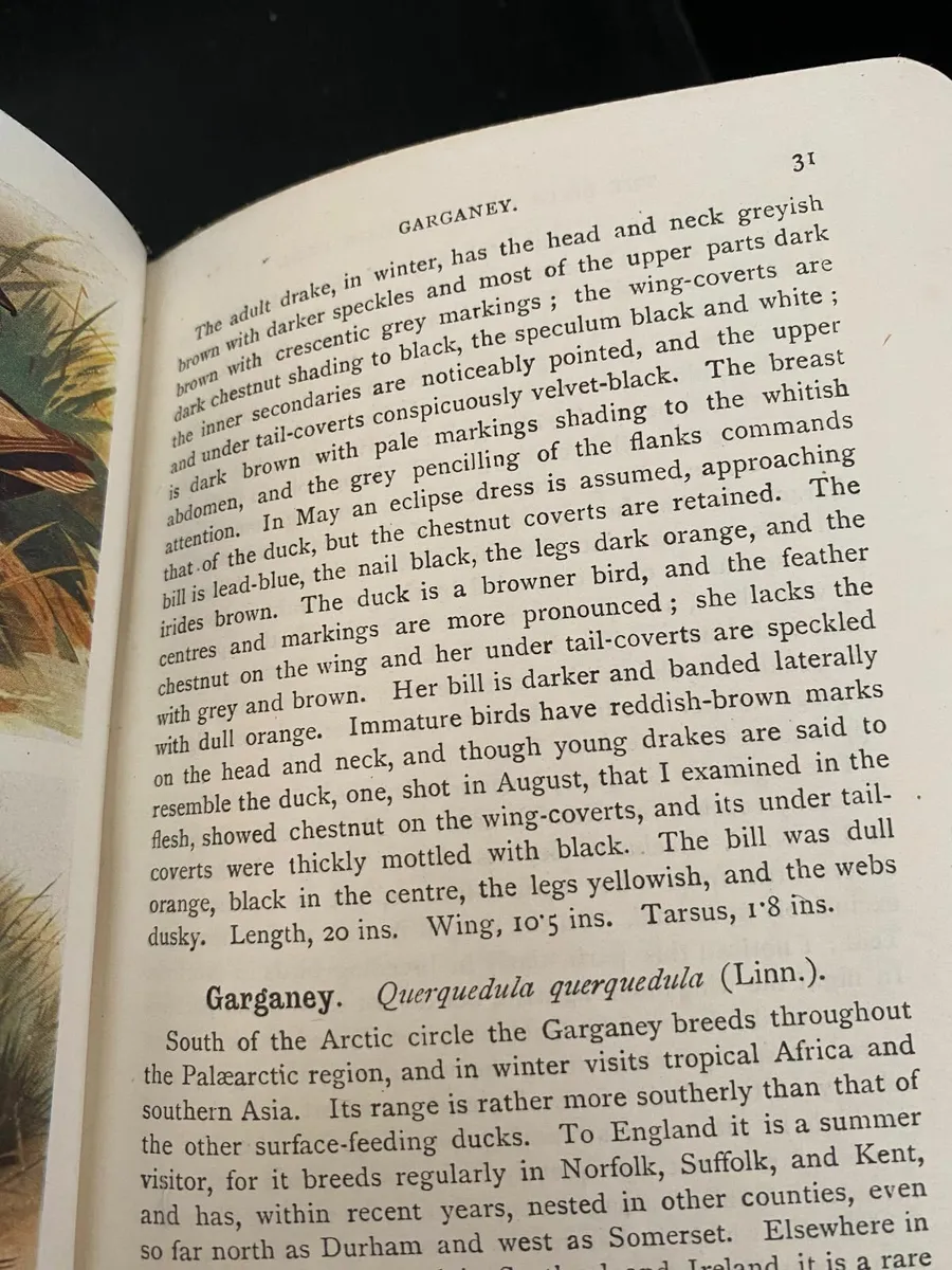 c1920 The Birds Of The British Isles & Their Eggs - Image 4