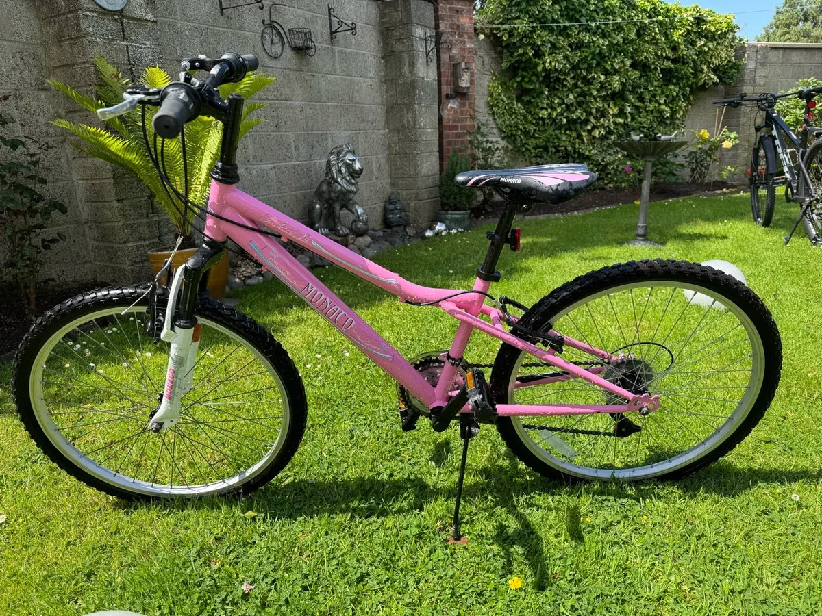 Bike - Image 1